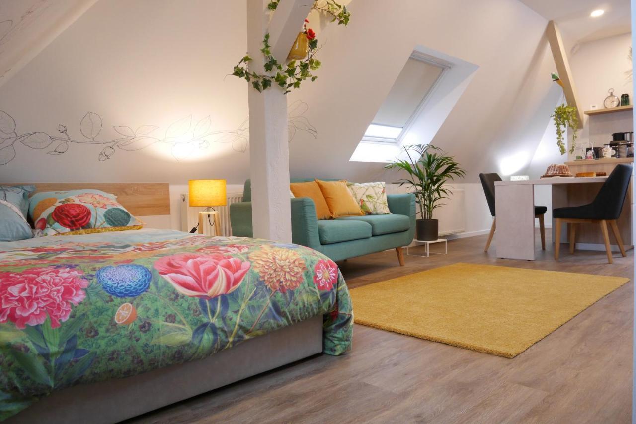 Le Jardin Des Roses Apartment Saverne Exterior photo