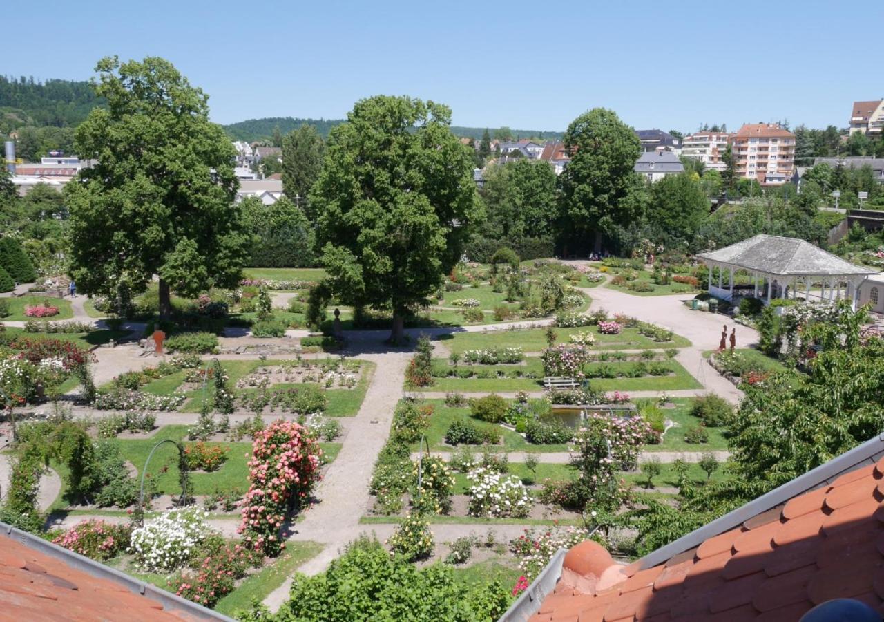 Le Jardin Des Roses Apartment Saverne Exterior photo