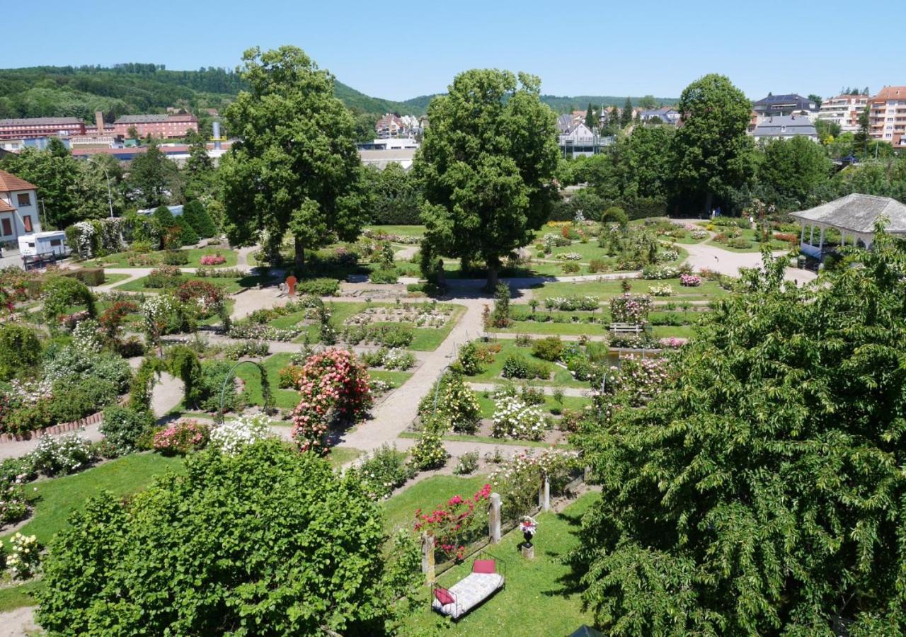 Le Jardin Des Roses Apartment Saverne Exterior photo